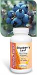 Blueberry Leaf for Pancreas health